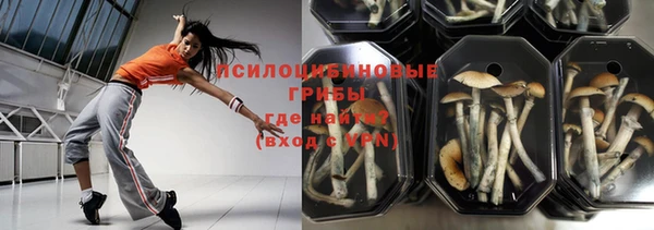 крисы Богданович