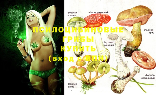 гашиш Беломорск